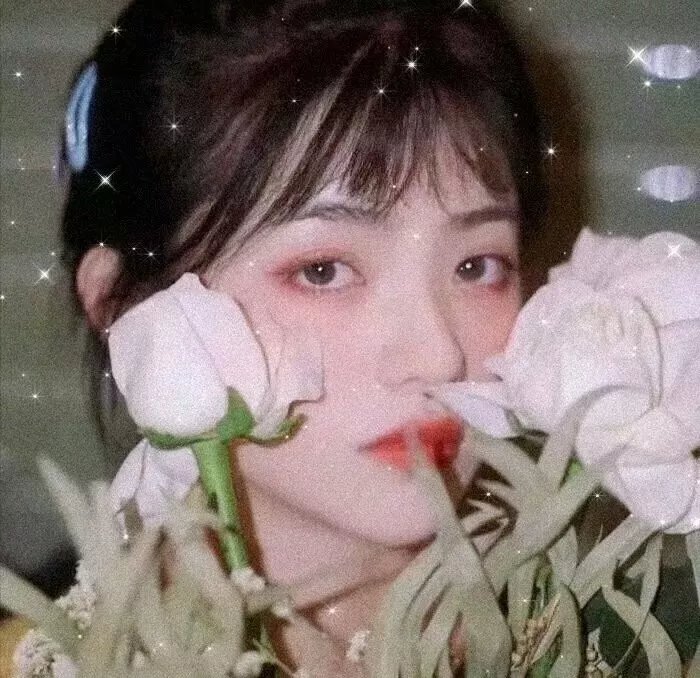 逐步爱上你