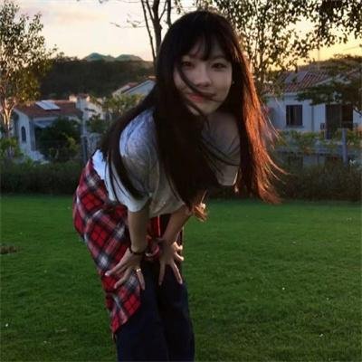 爱犬情深